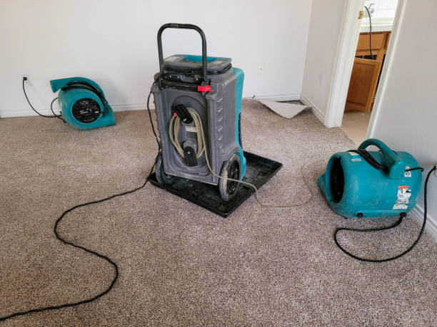 Best Emergency water damage restoration  in Fairbank, IA