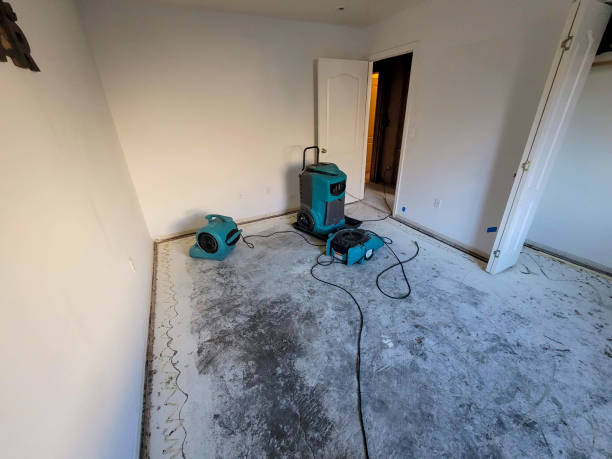 Best Flood restoration services  in Fairbank, IA