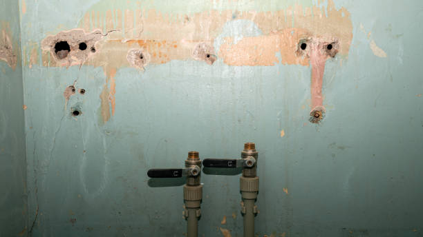 Best 24/7 water damage repair  in Fairbank, IA