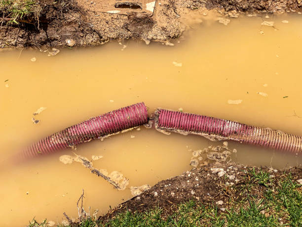 Reliable IA Water damage restoration Solutions