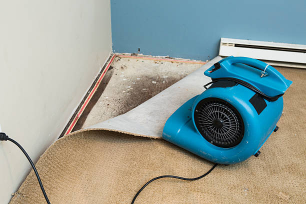 Best Commercial water damage restoration  in Fairbank, IA
