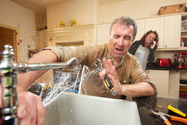 Best Mold removal after water damage  in Fairbank, IA